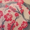 Cherry Blossoms