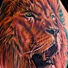Lion Tattoo