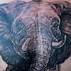 Elephant Chest Piece
