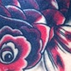 healed koi cover up