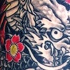 healed dragon cover up