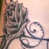 More roses!