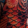 Koi