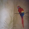 Parrot  detail