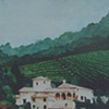 Honeymoon at the Winery