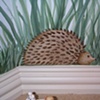 kid's room