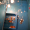 Pharma-visions,  Something for Everyone