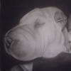 Puppy Love