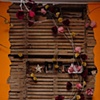 Floral Installation