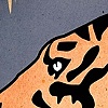 Tiger poster