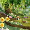 Play branch