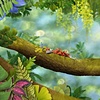 Pirate branch