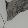Mine's Bigger detail
