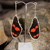 Butterfly wing earrings