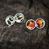 Butterfly wing fragments studs