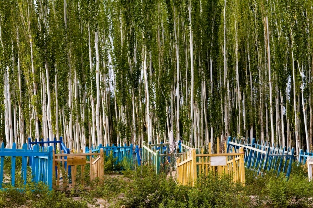 CLICK ON IMAGE TO ENLARGE 

Unrevealed, Site 4 (Colored Cribs)