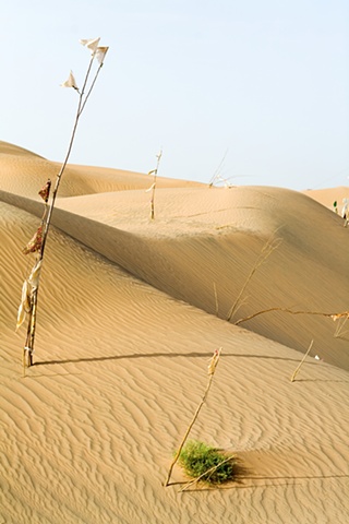 CLICK ON IMAGE TO ENLARGE 

Unrevealed, Site 3 (tugh-alem)