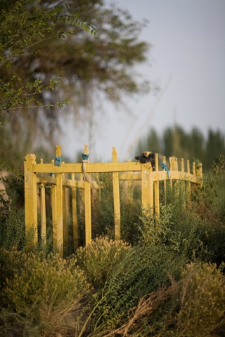 CLICK ON IMAGE TO ENLARGE 

Unrevealed, Site 4 (yellow marker)