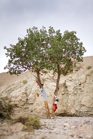CLICK ON IMAGE TO ENLARGE 

Tree with Healing Power