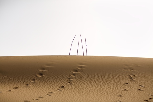 CLICK ON IMAGE TO ENLARGE 

4 Poles