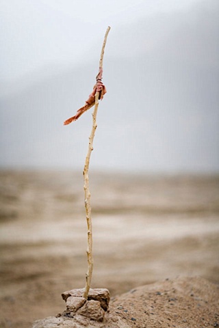 Black Garden (Single Twig)