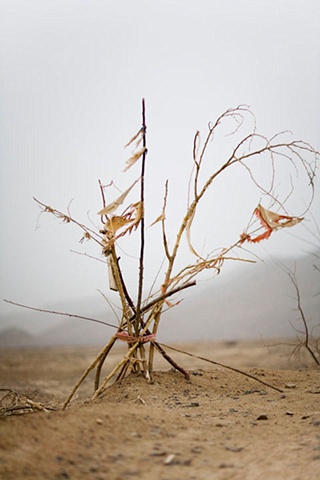 CLICK ON IMAGE TO ENLARGE 

Black Garden (gathered twigs)

