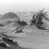 Ras Sidr, 2