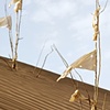 CLICK ON IMAGE TO ENLARGE 

Unrevealed, Site 3 (White Flag)