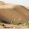 CLICK ON IMAGE TO ENLARGE 

Unrevealed, Site 3 (Scattered Markers)