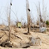 CLICK ON IMAGE TO ENLARGE 

Hillside Markers