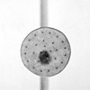 Statement and title with last image in this series.