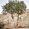 CLICK ON IMAGE TO ENLARGE 

Tree with Healing Power