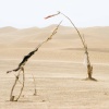 Unrevealed, site 1 (dialogue)