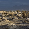 CLICK ON IMAGE TO ENLARGE 

Unrevealed, Site 18 (Remembrance)