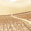 DESERT CONTROL