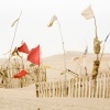CLICK ON IMAGE TO ENLARGE 

Unrevealed, Site 2 (Red Masthead)