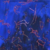 starry night