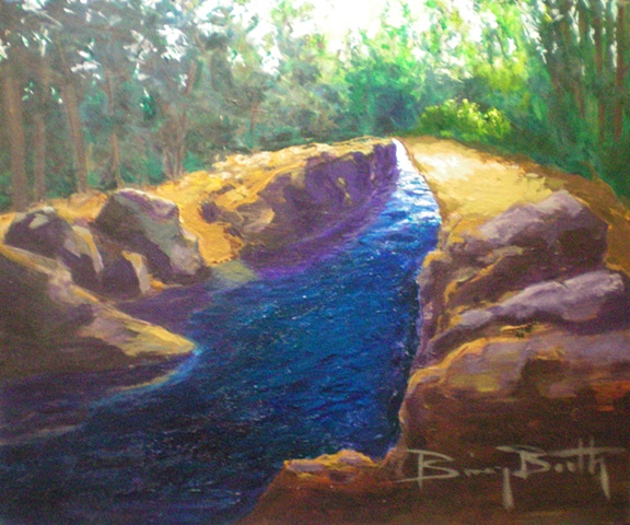 landscape, creek, river, white water, trees, rocks