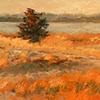 Red Cedar in Fall