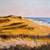 Aquinnah Dunes
