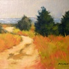 "Cape Poge Path"
