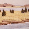 Winter Harbor