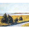 Cedar Beach Road