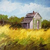 The Beach Shed
