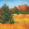 Fall at Cape Poge Trees