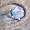 The Shell