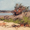 Spring Cleanup