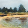 The Swimming Hole