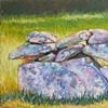 Chilmark Wall