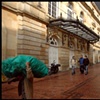 BOGOTA: A Glimpse of Street Life